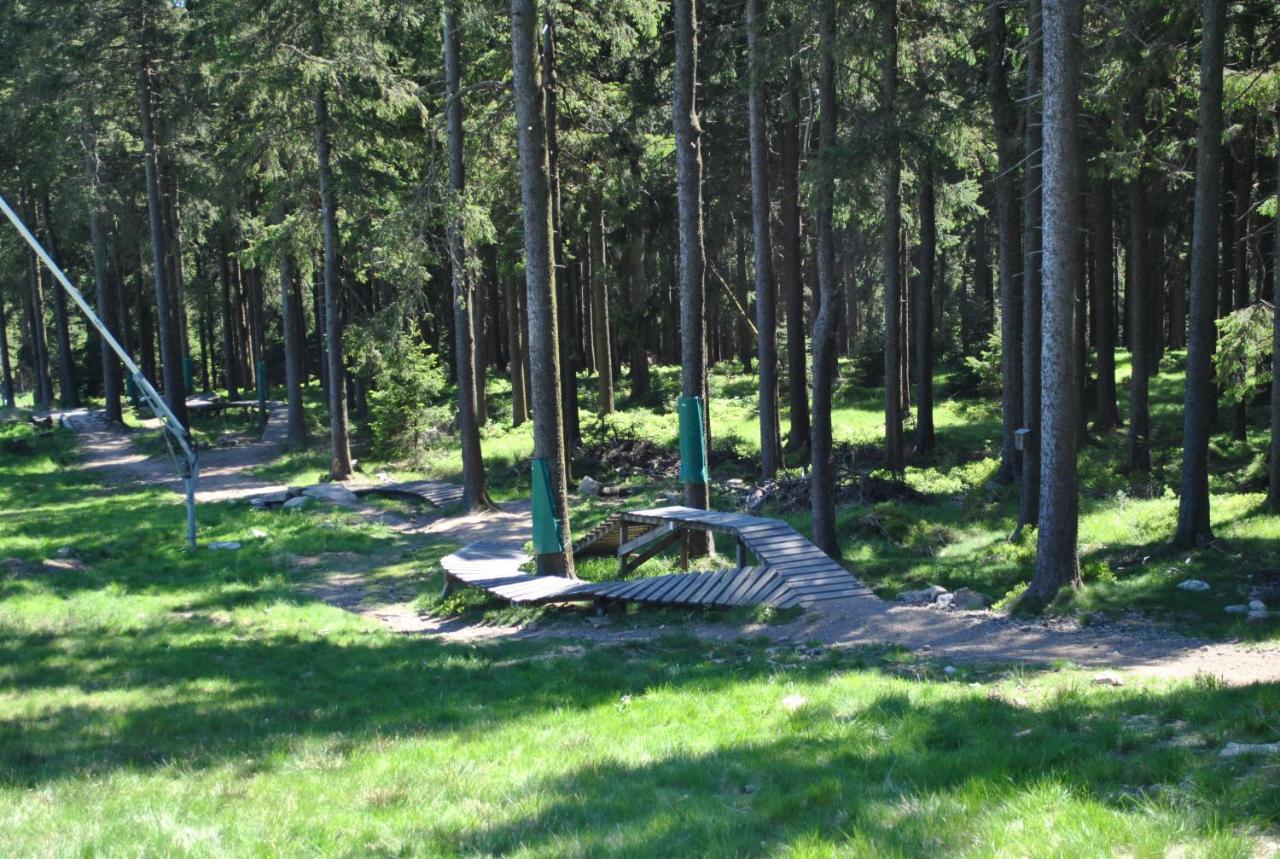 Harz-Rose Apartment Braunlage Luaran gambar