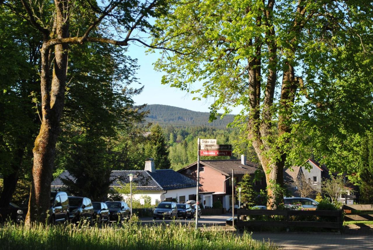 Harz-Rose Apartment Braunlage Luaran gambar