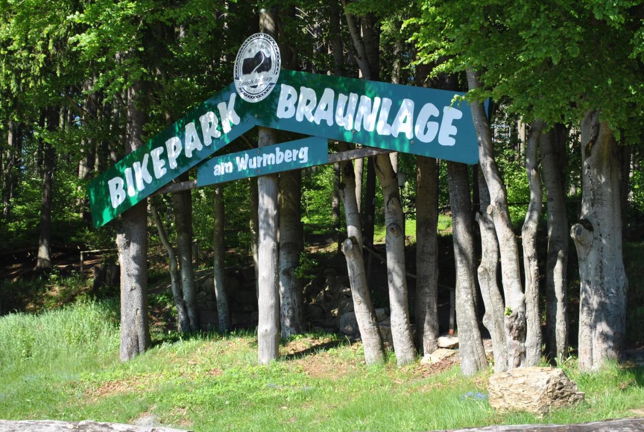 Harz-Rose Apartment Braunlage Luaran gambar
