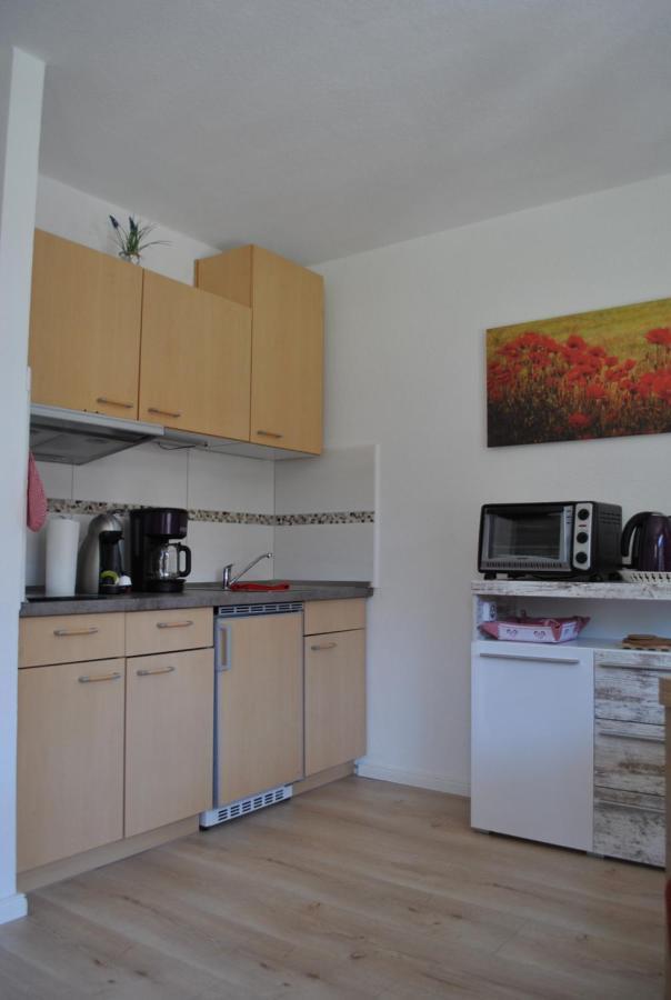 Harz-Rose Apartment Braunlage Luaran gambar