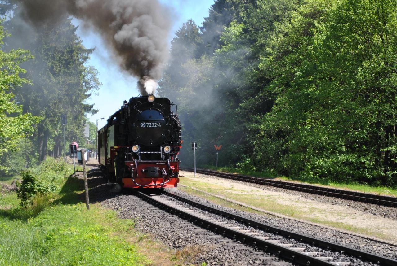 Harz-Rose Apartment Braunlage Luaran gambar
