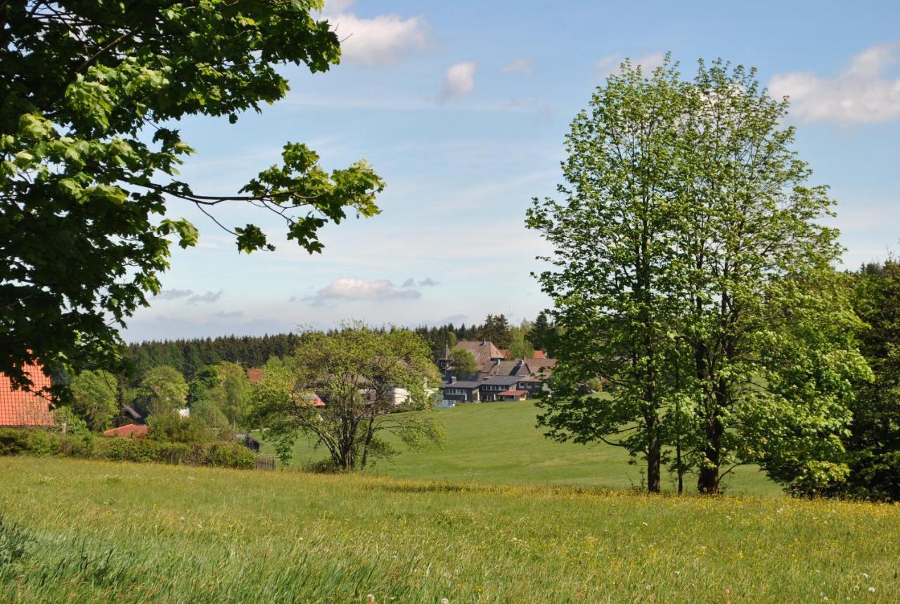 Harz-Rose Apartment Braunlage Luaran gambar