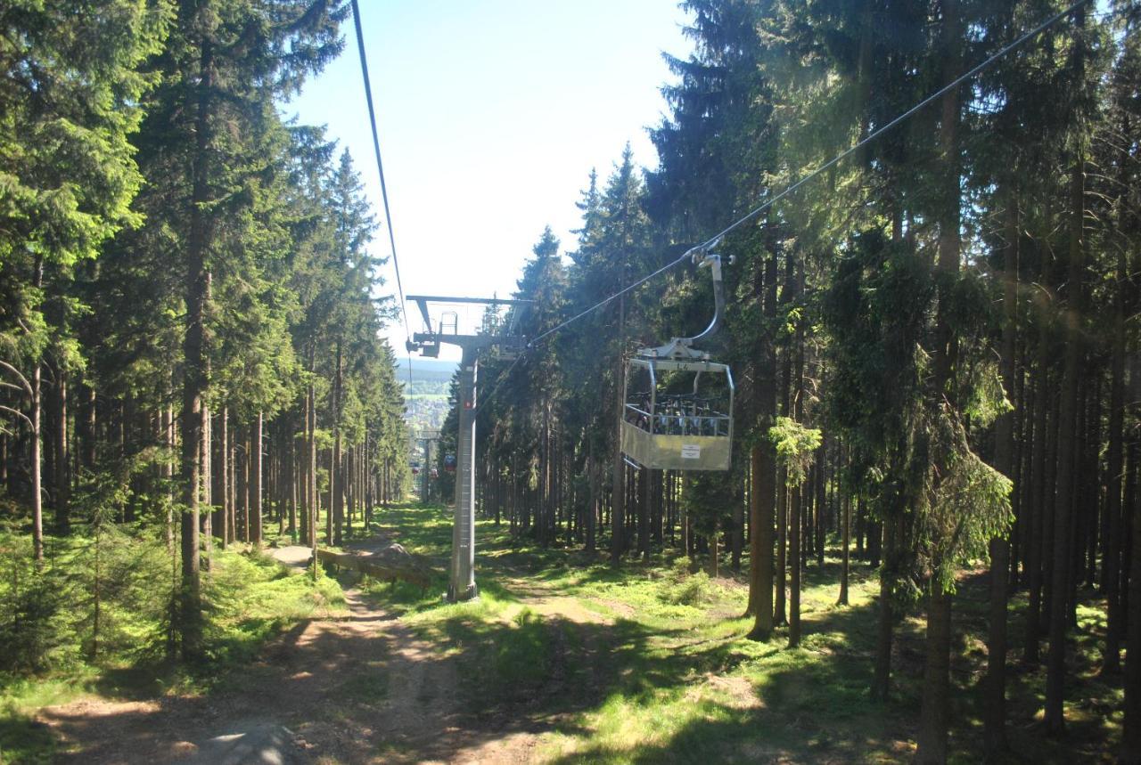 Harz-Rose Apartment Braunlage Luaran gambar