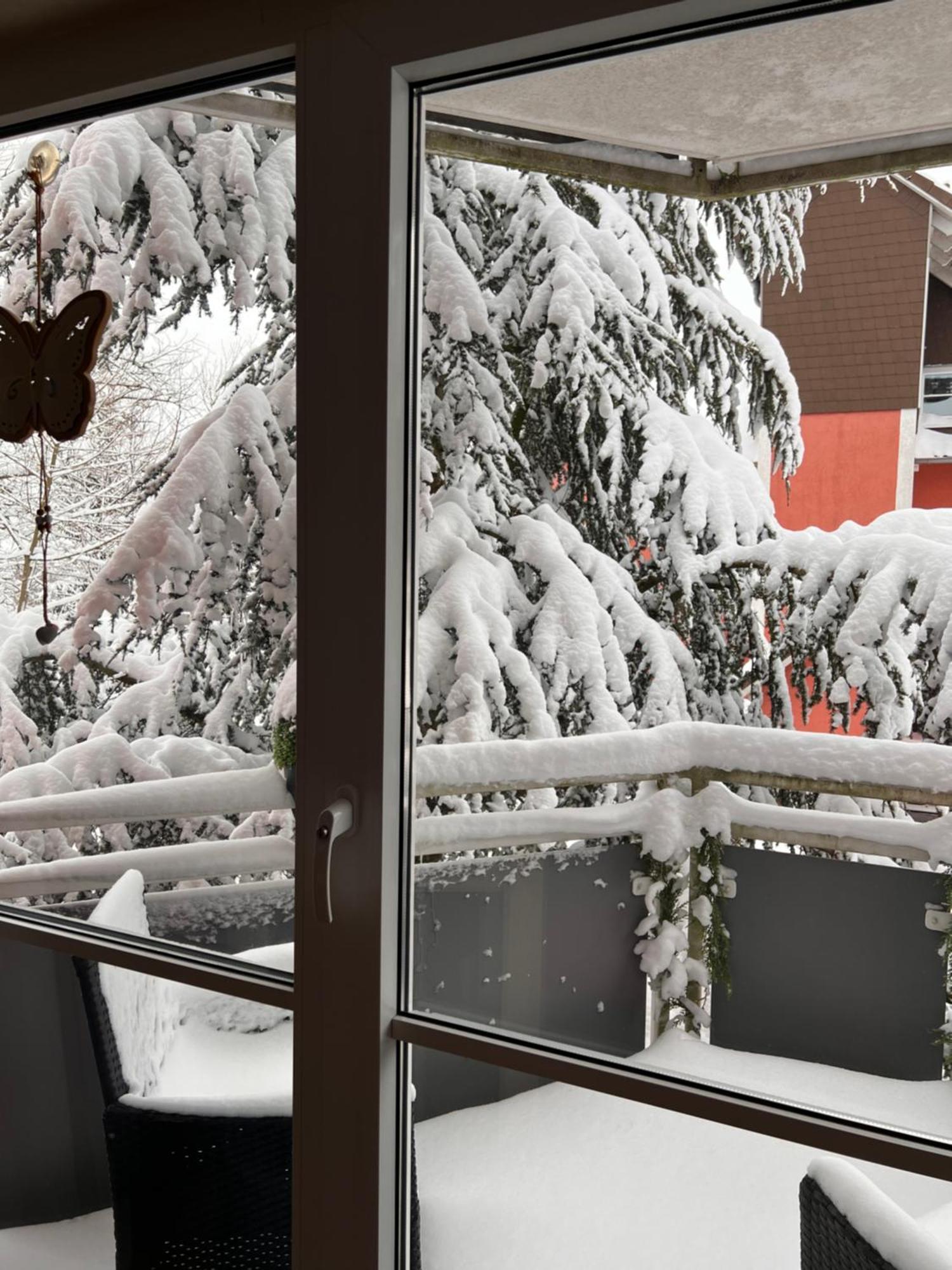 Harz-Rose Apartment Braunlage Luaran gambar