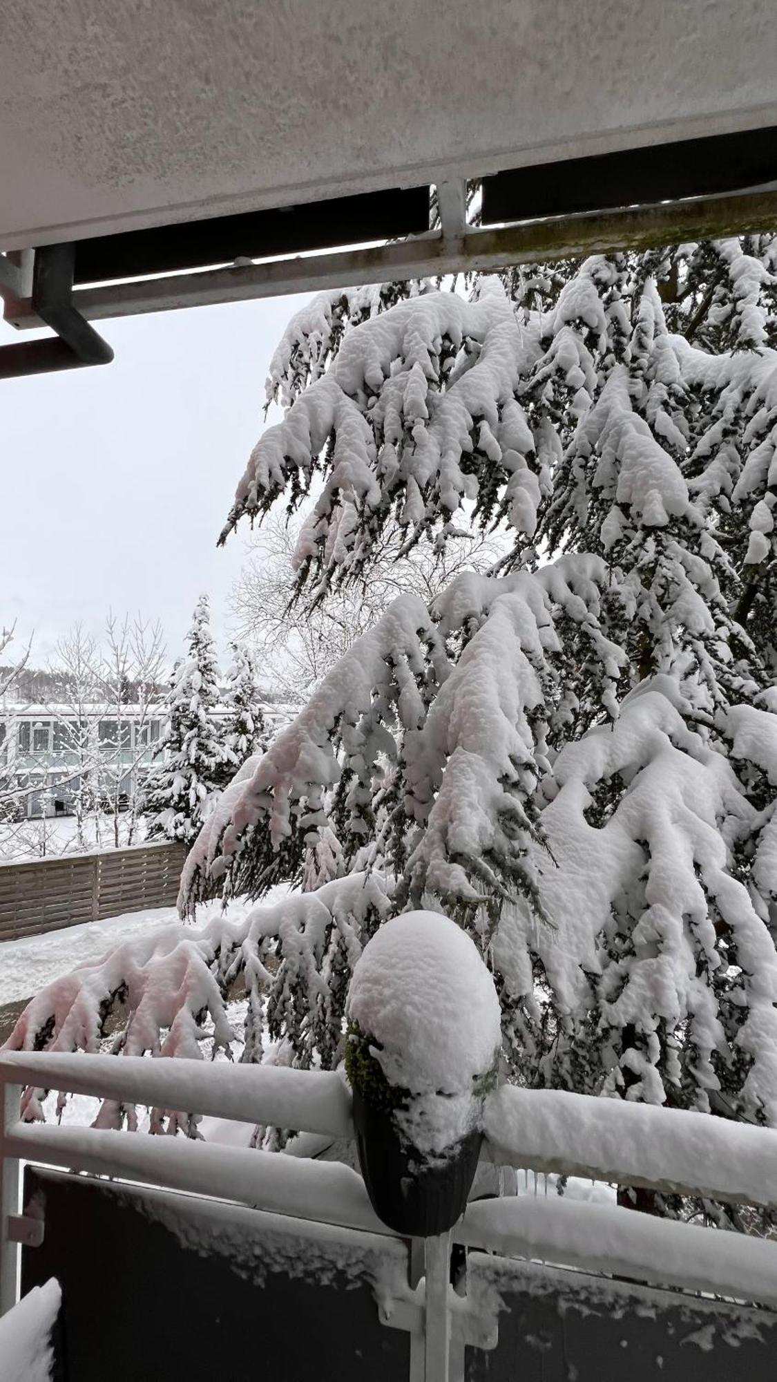 Harz-Rose Apartment Braunlage Luaran gambar